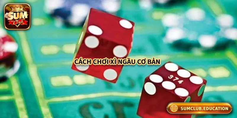 Giới thiệu luật chơi và cách chơi xí ngầu online